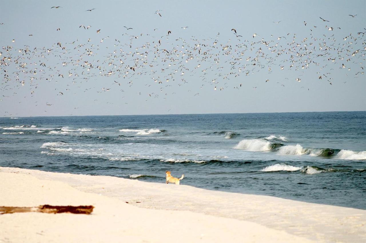 Beach'N'Sea Wohnung 3 Grömitz Exteriör bild